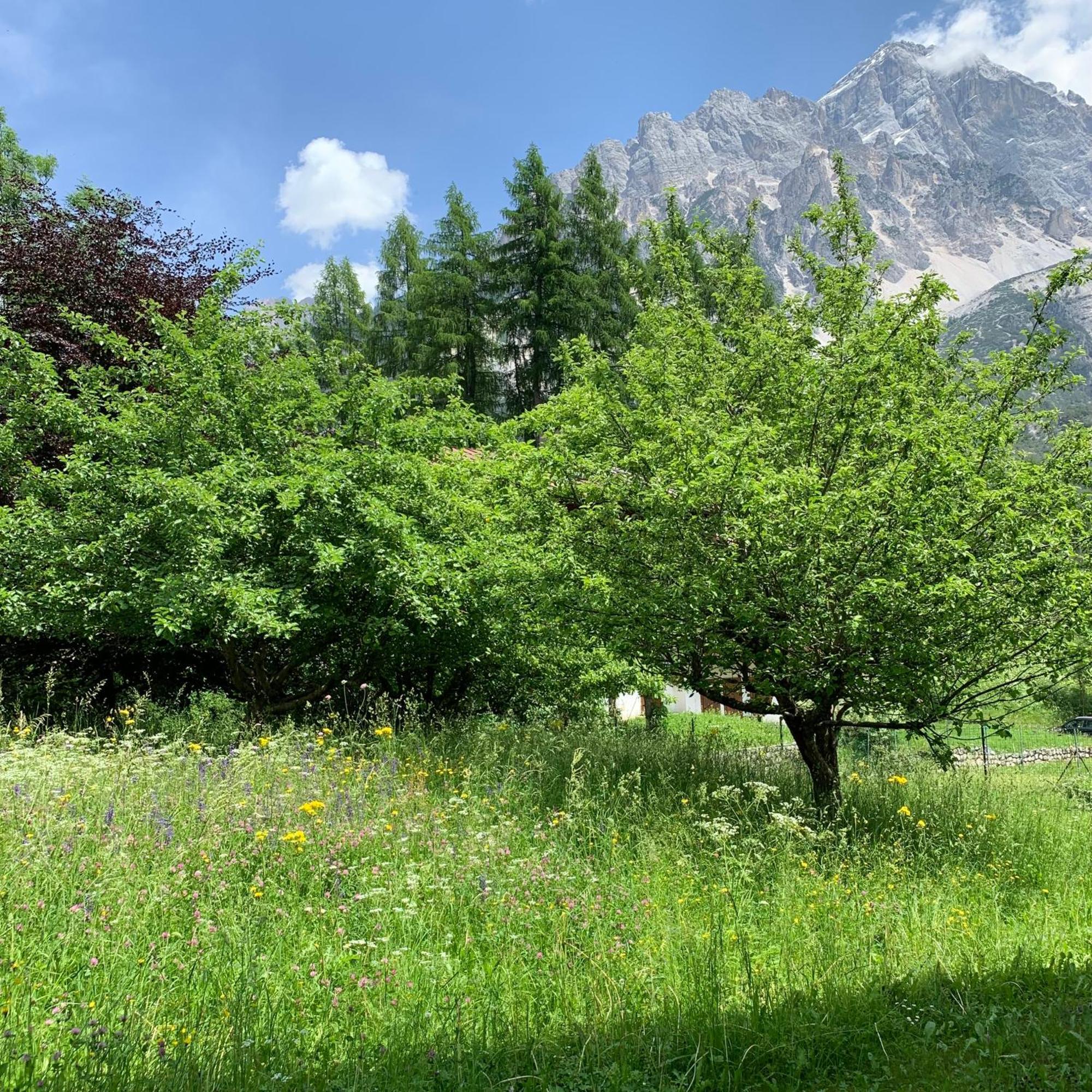 Апартаменти Piccolo Gioiello Di Montagna Villanova  Екстер'єр фото